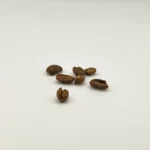 Kaffe abonnement kaffeboenner