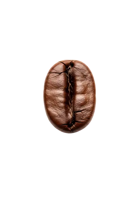 Detaljeret kaffebønne